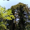 20180522_106.jpg