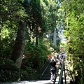 20180522_116.jpg
