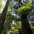 20180522_118.jpg