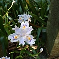 20180522_124.jpg