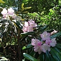 20180522_138.jpg