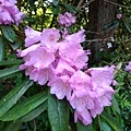 20180522_144.jpg