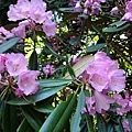 20180522_145.jpg