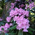 20180522_147.jpg