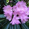 20180522_149.jpg