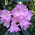 20180522_150.jpg