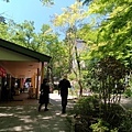20180522_161.jpg