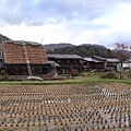20181031_081.jpg