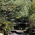 20181101_165.jpg