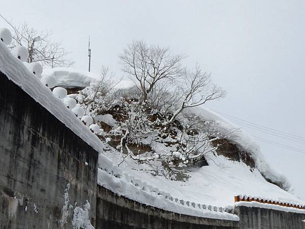 20190215_037.jpg 20190215_037.jpg
