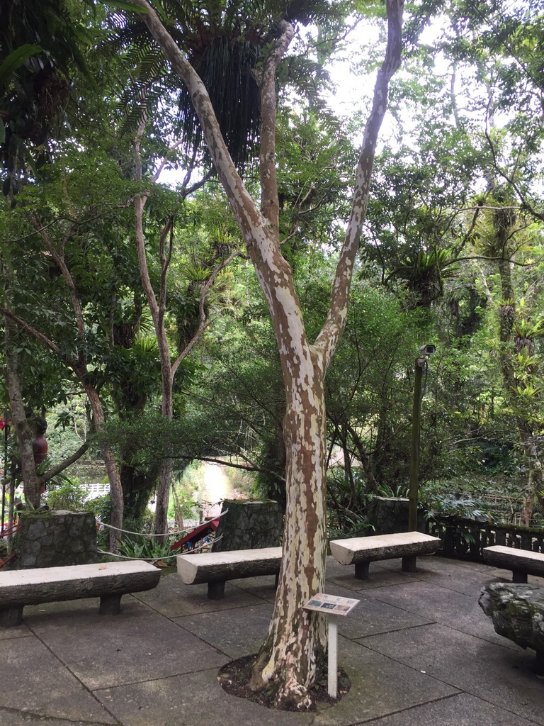 S__3497996.jpg S__3497996.jpg