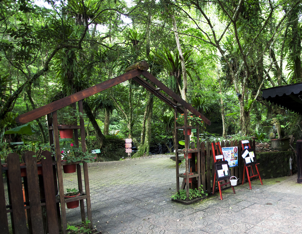 芬多精、負離子 森林裡的紓壓劑.jpg