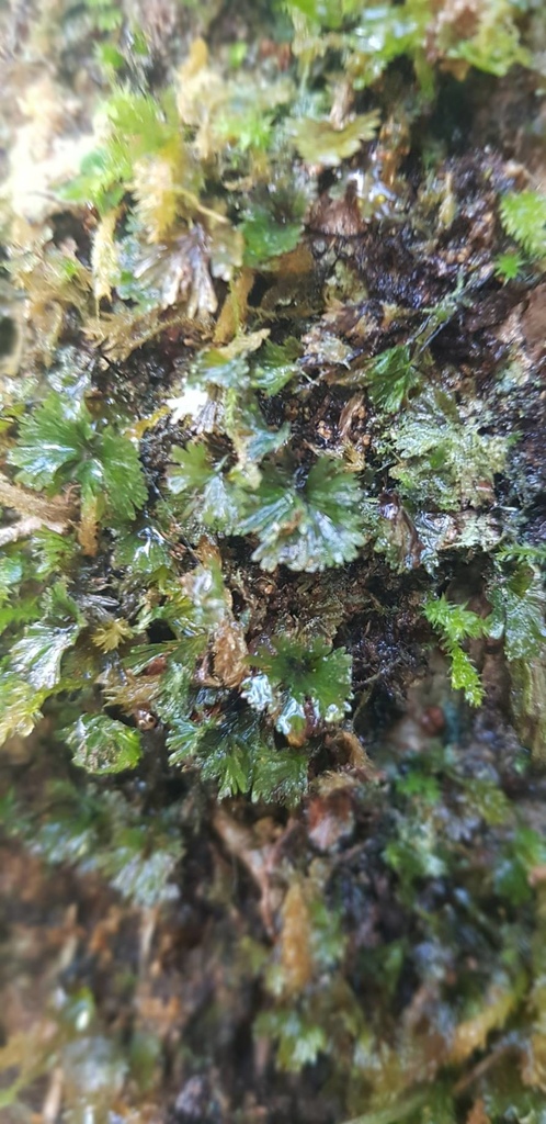 526219.jpg 526219.jpg