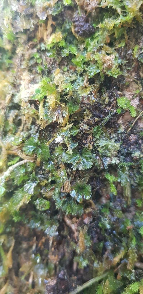 526218.jpg 526218.jpg