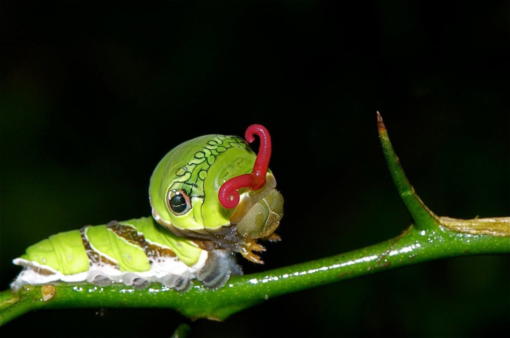 43005115_2372505666099634_1796603180901990400_o.jpg 43005115_2372505666099634_1796603180901990400_o.jpg