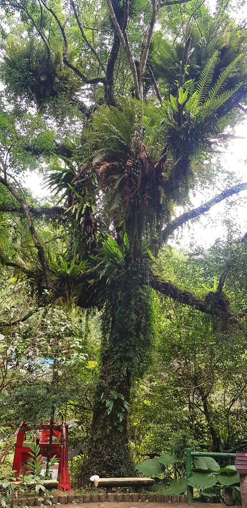 20200722_134848.jpg 20200722_134848.jpg