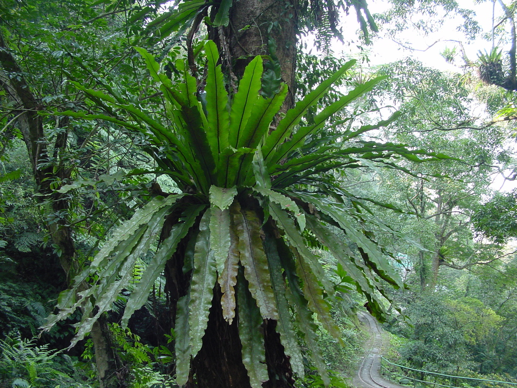 DSC00342.JPG DSC00342.JPG