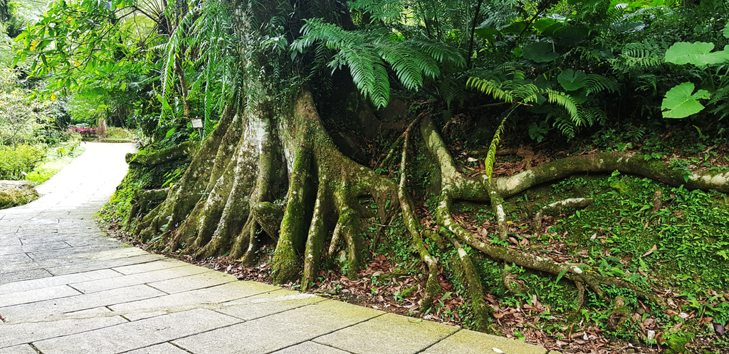 20200722_134955.jpg 20200722_134955.jpg