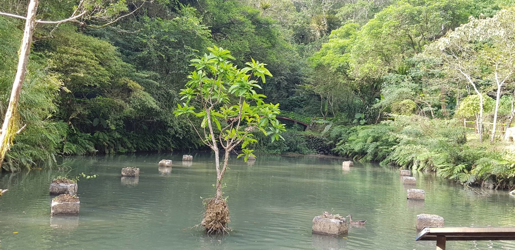 527874.jpg 527874.jpg