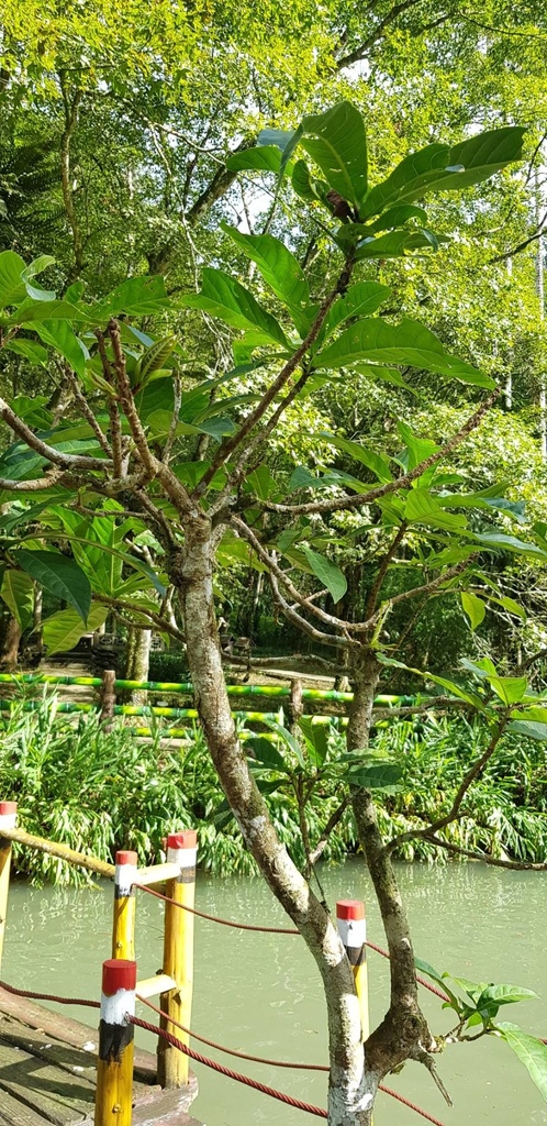 527876.jpg 527876.jpg