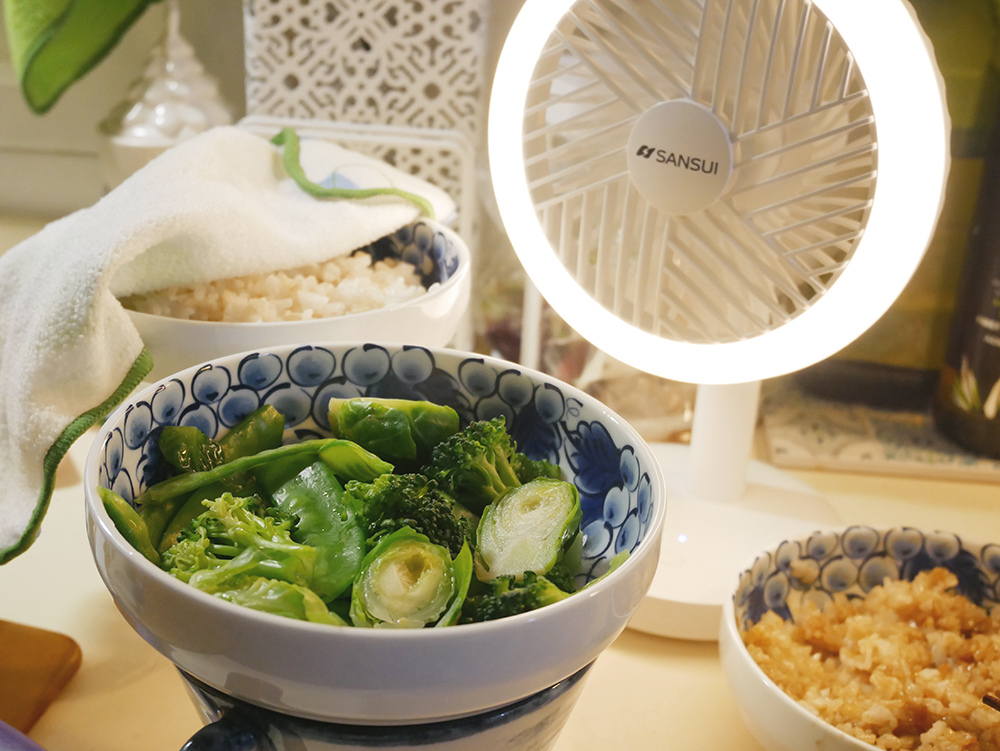 004.jpg 山水無線充電式DC風扇、LED驅蚊照明高續航力