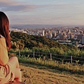 14虎頭山環保公園桃機一號桃園夜景.jpg