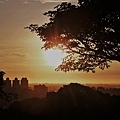 21虎頭山環保公園桃機一號桃園夜景.jpg