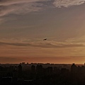 27虎頭山環保公園桃機一號桃園夜景.jpg