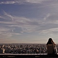 30虎頭山環保公園桃機一號桃園夜景.jpg