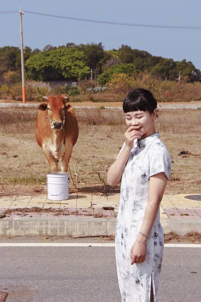 金門黃牛牛肉麵7.jpg