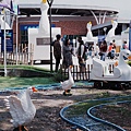古坑綠色隧道19.JPG