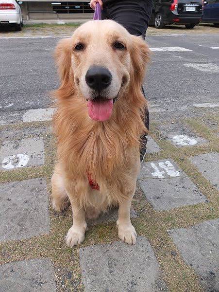 1622688_875024532523687_5308920126239013325_n