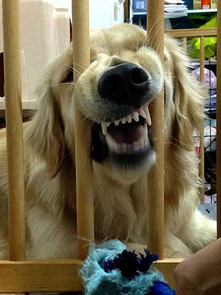 10271574_875024949190312_8115266473248263825_n