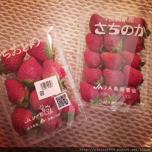 來日本一定要大吃草莓！