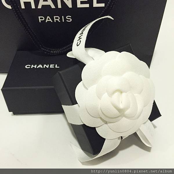 Chanel-earrings3.jpg