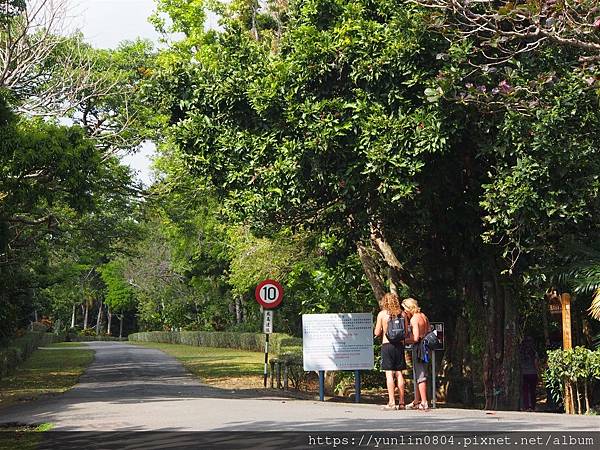 墾丁國家森林遊樂區-2第一遊覽區步迎賓大道.jpg