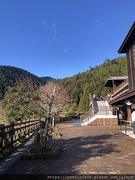 4.太平山國家森林遊樂區-6.jpg