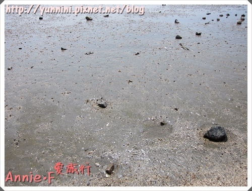 IMG_2028.JPG IMG_2028.JPG