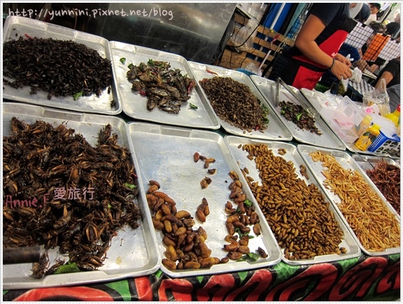 IMG_8157.JPG IMG_8157.JPG