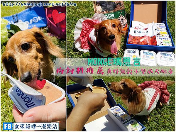 網誌 TOP 0206.jpg 網誌 TOP 0206.jpg