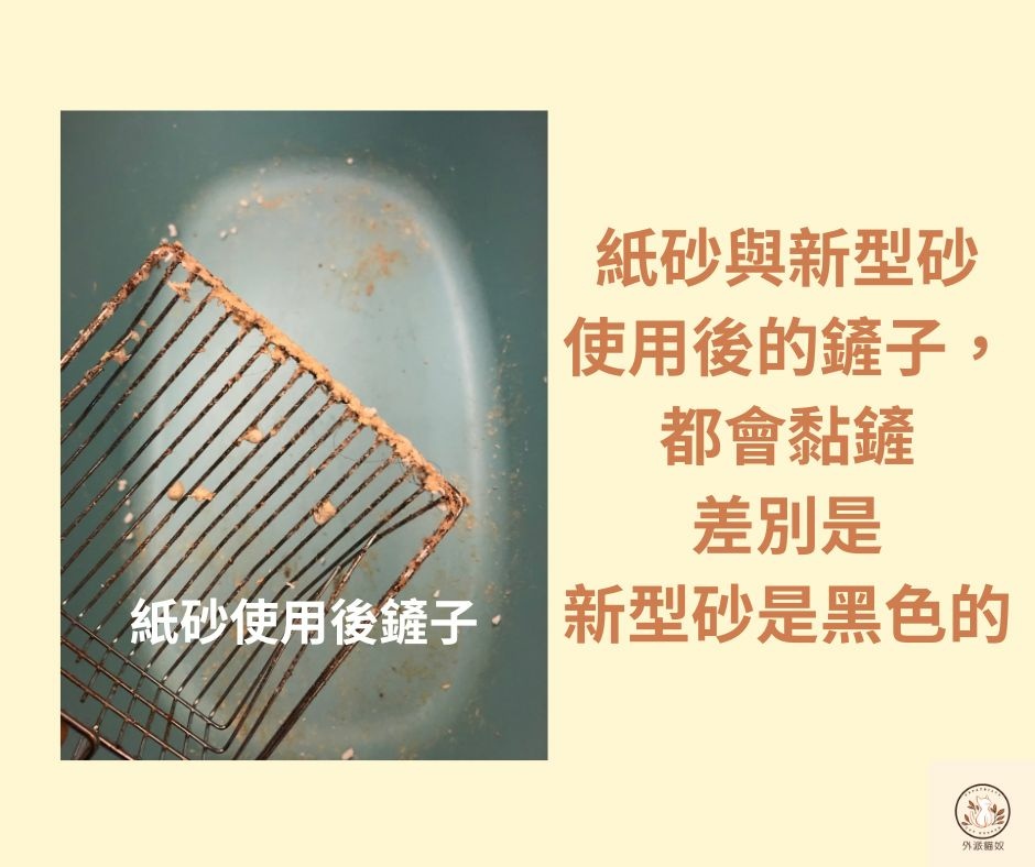 【貓咪】👷🏻‍♀️貓砂探秘：從礦砂到紙砂，我的換砂心得💛