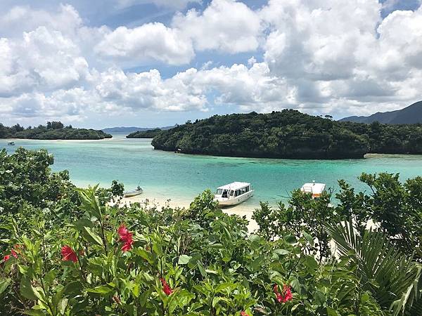 IMG_9792.JPG IMG_9792.JPG