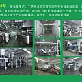 D15-中國第一條自動化萬噸複合調味品生產線
