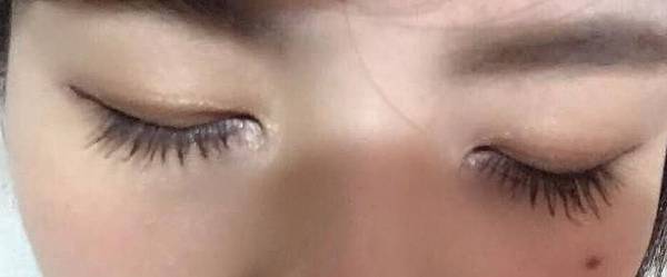 11217508_10204679043481128_6467527174284988007_n