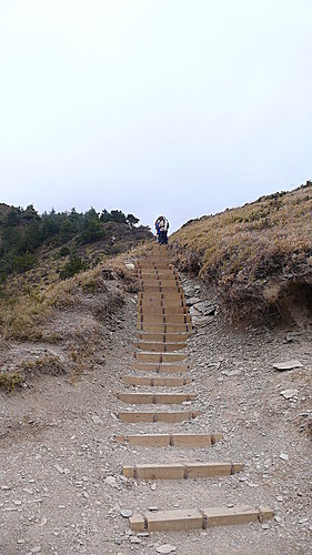 20081213-合歡山Day2-2 (合歡北峰) 99
