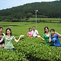 「綠茶園」廣告海報