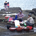 海女撈到的東西就交到岸邊給現宰現賣的海女處理