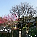 山頂小館餐廳-1