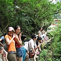 觀望跳水