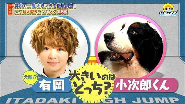 いただきハイジャンプ大型犬企劃 無限溺愛知念侑李 痞客邦 いただきハイジャンプ大型犬企劃 無限溺愛知念侑李 痞客邦